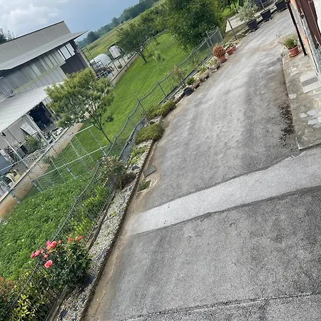 Πανσιόν La Cricova Di Iulia