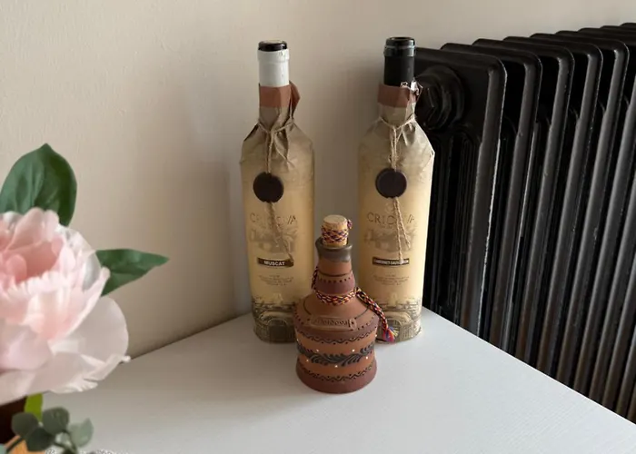 La Cricova Di Iulia Πανσιόν Cervasca