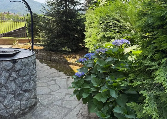 La Cricova Di Iulia Πανσιόν